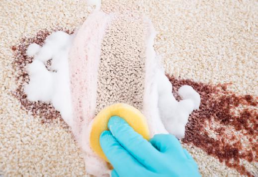 Stain and Odor Removal